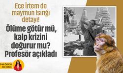 Ece İrtem de maymun Isırığı detayı! Ölüme götür mü, kalp krizini doğurur mu? Profesör açıkladı