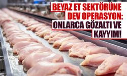 Beyaz et sektörüne dev operasyon: Onlarca gözaltı ve kayyım!