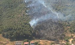 Balıkesir'de korkutan orman yangını