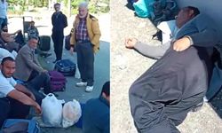 Rize'de ücret isteyen çay işçilerinin darp edildiği iddia edildi