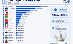 Dünyanın en fazla çiğ süt üreten 20 ülkesi hangileri? Türkiye 2025 çiğ süt üretiminde dünyada kaçıncı sırada yer aldı?