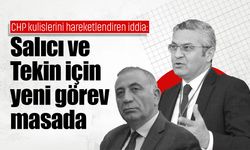 CHP kulislerini hareketlendiren iddia: Salıcı ve Tekin için yeni görev masada