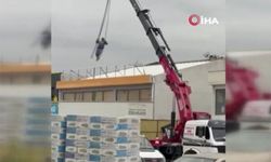 Vinçte tehlikeli oyun: O anlar kameraya yansıdı