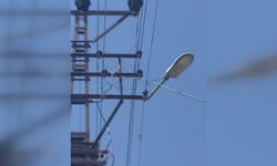 Şanlıurfa’da kaçak hatla elektrikli araç şarjına ceza