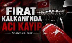 Fırat Kalkanı Bölgesi'nden acı haber: Bir asker şehit düştü