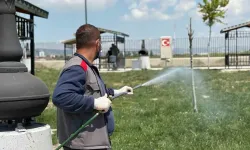 Sincan'da yaz sezonuyla ilaçlama çalışmaları başladı