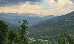 Şırnak’ta ormanlara giriş yasaklandı
