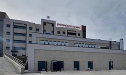 Devlet Hastanesi'nde skandallar zinciri: Müdür açığa alındı, güvenlik görevlisine soruşturma