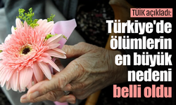 TÜİK açıkladı: Türkiye'de en çok ölüm sebebi belli oldu!