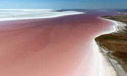 Tuz Gölü pembeye büründü! Flamingoların evi renk değiştirdi