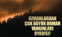 Uzmanlardan çok büyük orman yangınları uyarısı!