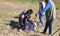 Kanlı arazi kavgası: 1'i ağır 2 yaralı
