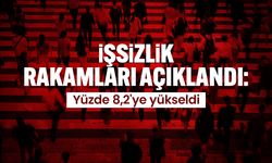 İşsizlik rakamları açıklandı: Yüzde 8,2'ye yükseldi