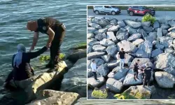 Avcılar'da denize düşen vatandaş için seferberlik