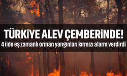 Türkiye alev çemberinde! 4 ilde eş zamanlı orman yangınları kırmızı alarm verdirdi