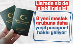 6 meslek grubuna daha yeşil pasaport geliyor! TBMM'ye peş peşe teklifler sunuldu