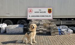 Hatay'da kaçak sigara operasyonu: Tırda 30 bin paket ele geçirildi