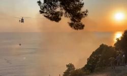 Büyükada'daki yangın söndürüldü