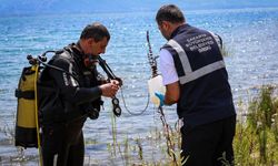 Sapanca Gölü'ndeki "pamuksu" madde bir alg türüymüş!