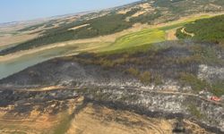 Malkara'da korkutan orman yangını: 80 dekar orman küle döndü
