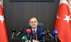 Muğla'da o hayvanların yüzde 97'si toplandı