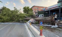 İstanbul'da fırtına hangi ilçeleri nasıl etkiledi?