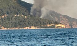 Büyükada'da yangın paniği