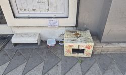 Sokak hayvanları için ilginç su kabı uyarısı