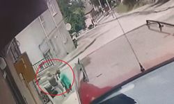 Ordu'da kardeş katliamı! Ağabeyinin ailesini yok etti