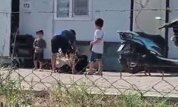 Dehşete düşüren görüntü: Karısını çocuklarının gözü önünde bıçakla yere yatırıp öldüresiye dövdü