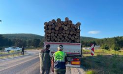 Kütahya'da orman koruması sürüyor