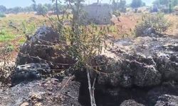 Diyarbakır'da korkutan kırsal yangını