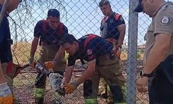 Edirne'de yürek ısıtan kurtarma