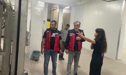 Hatay'da hayvan maması için geniş çaplı denetim