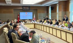 Öğrenci affı ve yükseköğretim düzenlemesi komisyonda