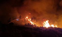Milas'ta alevler geceyi aydınlattı: Orman yangını ile mücadele gece de sürüyor