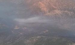 Antalya'da korkutan orman yangını