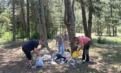 Kastamonu'da ormandaki cam şişeler şaşırttı