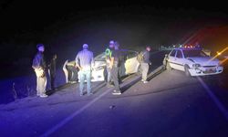 Kütahya'da koyunlar zincirleme kazaya neden oldu