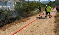 Bilecik'te YHT civarında korkutan yangın