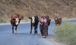 Orman yangınında dehşet anları: Hayvanlarını alıp alevlerden kaçtılar