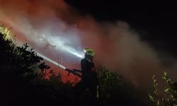 Susurluk'taki orman yangınına müdahale gece de sürüyor