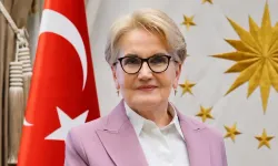 Akşener Vakfı faaliyete geçti: Mal varlığı Mehmetçik Vakfı'na bırakılacak