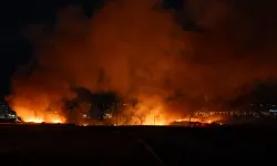 Ankara’da otluk alanda yangın paniği! Ekipler kısa sürede müdahale etti