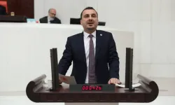 Bekir Başevirgen kimdir? Bekir Başevirgen kaç yaşında, nereli ve hangi partiden?