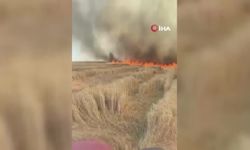 Beypazarı’nda bin 500 dönüm ekili arazi kül oldu