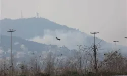 Büyükada'da yangın paniği