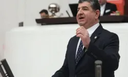 Cavit Arı kimdir, kaç yaşında, nereli? Cavit Arı hangi partiden?