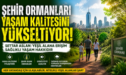 Betonlaşan şehirlerde en büyük ihtiyaç: Şehir ormanları