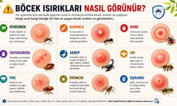 Yaz aylarında böcek ısırıklarına dikkat! Isırık izleri hangi böceğe ait olabilir?